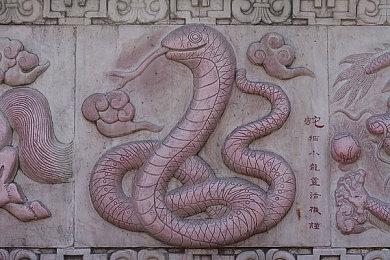 《女神异闻录5：战略版》埃尔介绍PV 受人爱戴的女首领